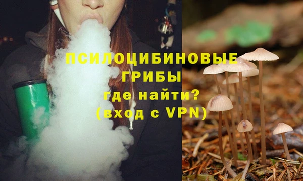 стаф Михайловск