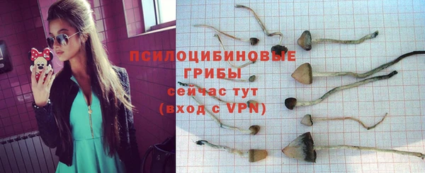 стаф Михайловск