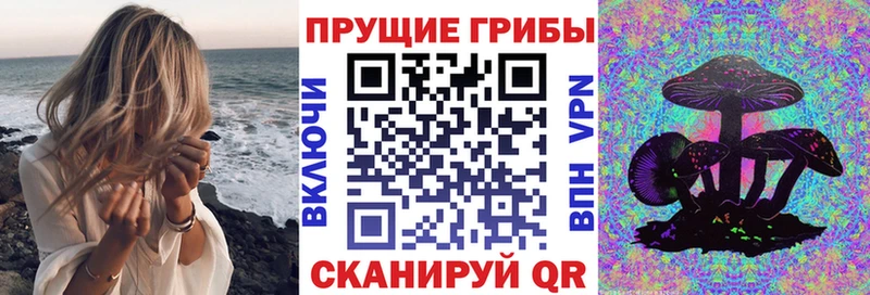 Галлюциногенные грибы мицелий  Купить закладки  Орлов 